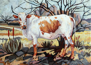 Nguni Cow oils